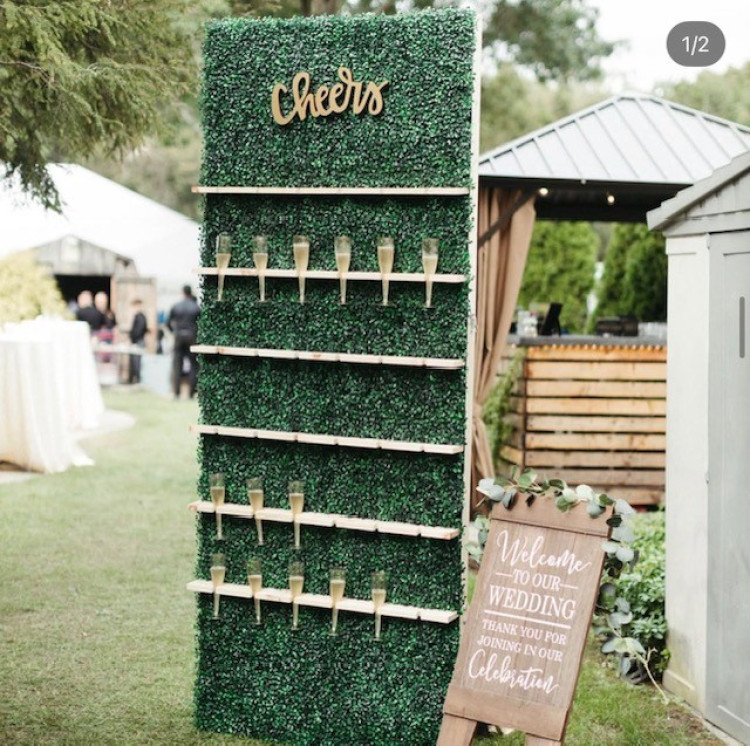 Champagne Wall Champagne Wall