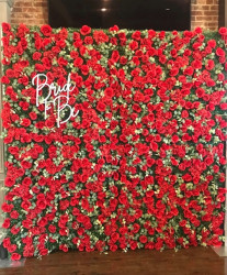 Wall20red 1761670896 Red Rose Flower Wall