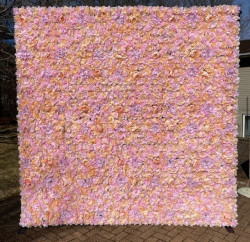 Pink and Champagne Flower Wall