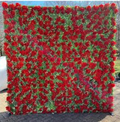Red Rose Flower Wall