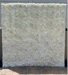 wall20white202 1761672067 White/Ivory Rose Flower Wall