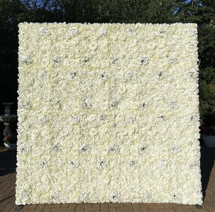 White/Ivory Rose Flower Wall White/Ivory Rose Flower Wall